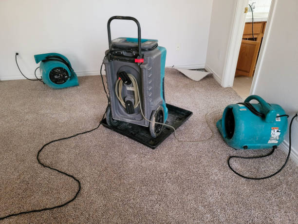 Best Water damage contractors near me  in Lebanon South, PA