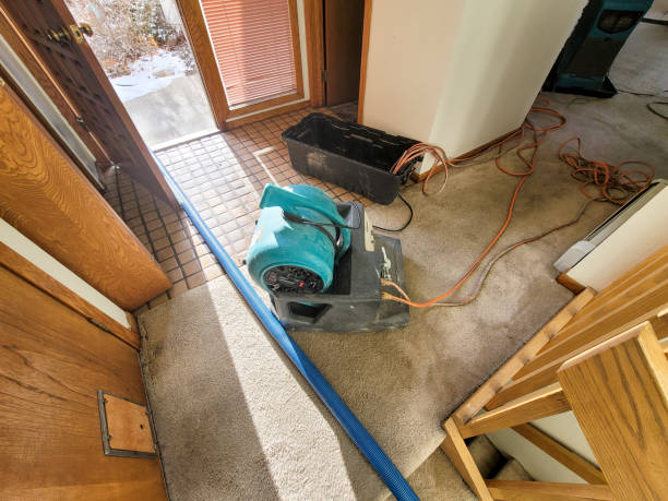 Best Professional water damage repair  in Lebanon South, PA
