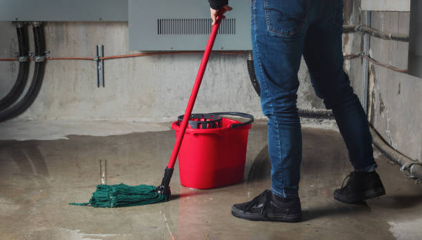 Best Ceiling water damage repair  in Lebanon South, PA